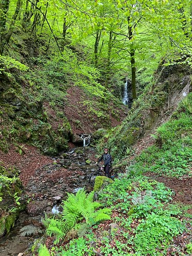 IMG-20220428-WA0045