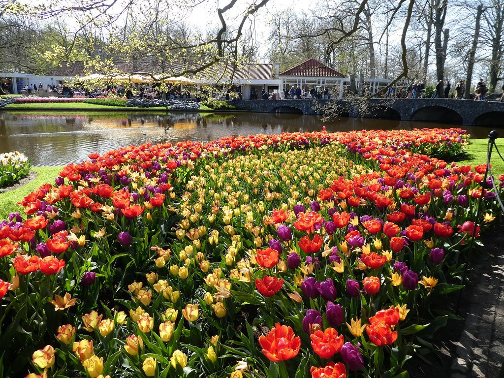 Tulip displays at Keukenhof Garden