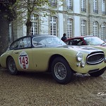 1951 Ferrari 212 Export Vignale Coupé by dacorsa.com, Netherlands