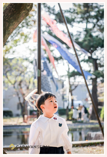 鯉のぼりをバックにした男の子　幼稚園入園記念のロケーション撮影