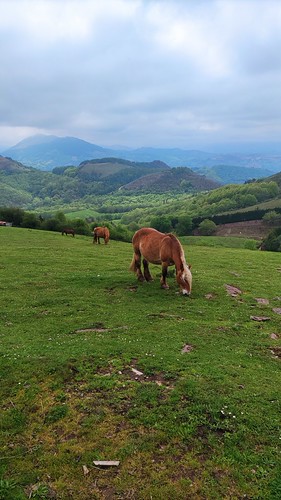 IMG_20220430_125835