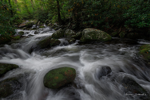canon eos r5 ef1635mm f4l is usm stream creek landscape long exposure roaring fork great smoky mountains national park nature outdoor