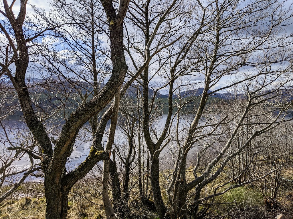 Loch Morlich, April 2022
