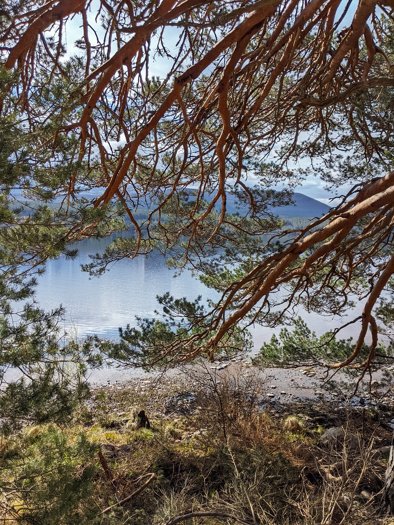 Loch Morlich, April 2022