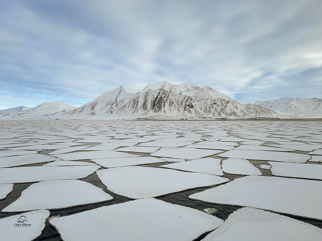 Ice Fields of Svalbard