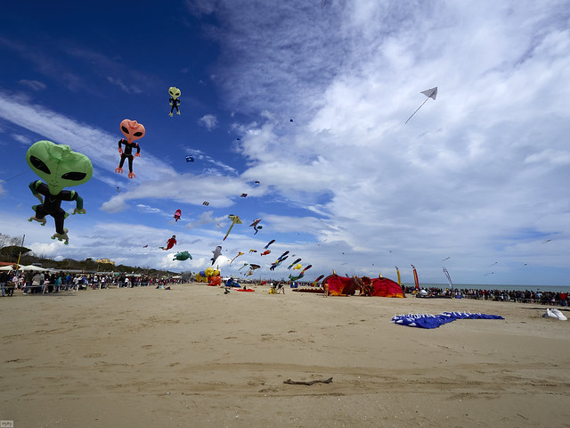 Kites festival in Romagna