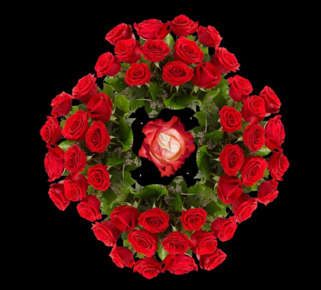 2022129-RED ROSE SURROUNDED
