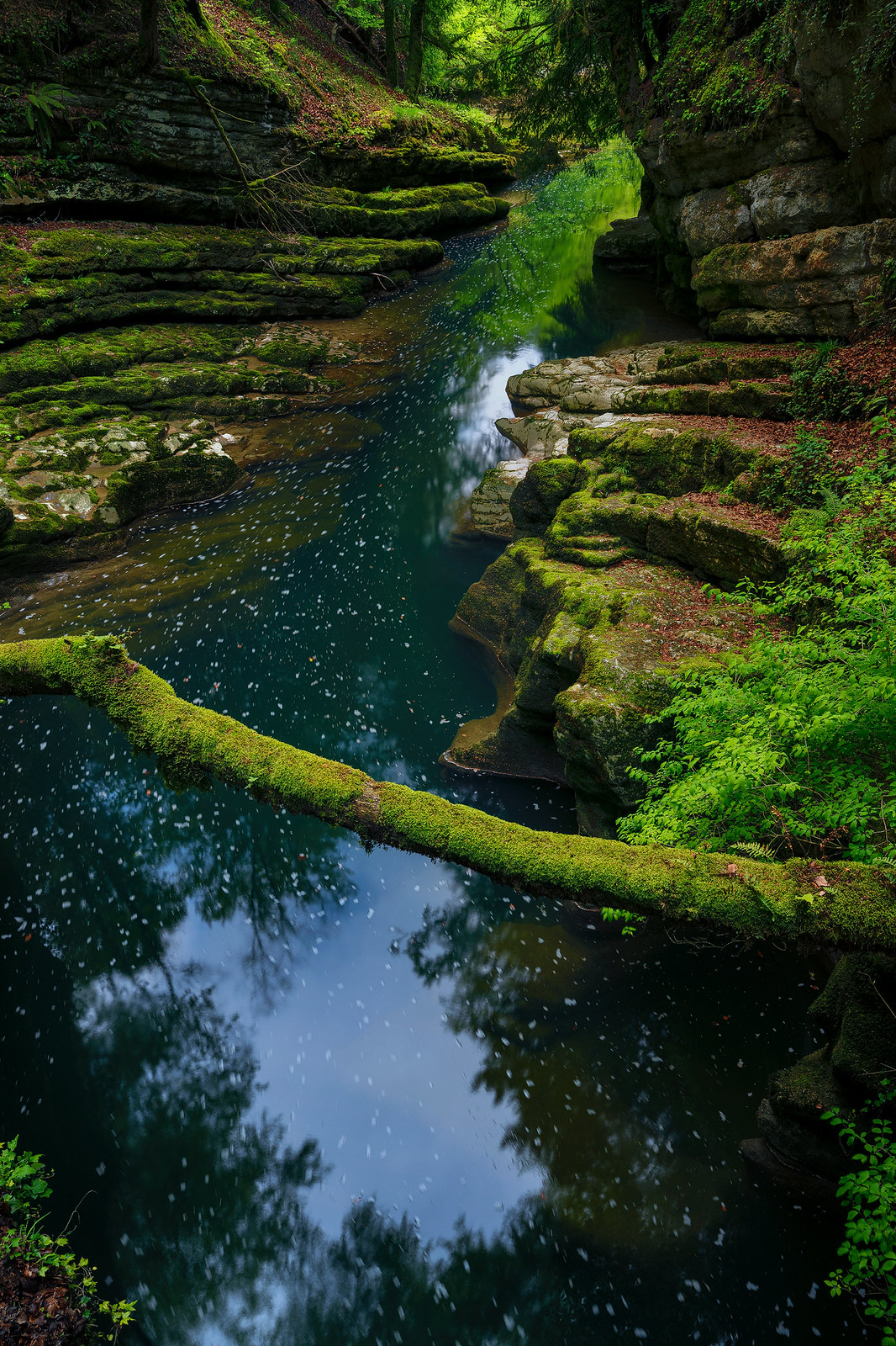 River in the green - Gorges de l'areuse