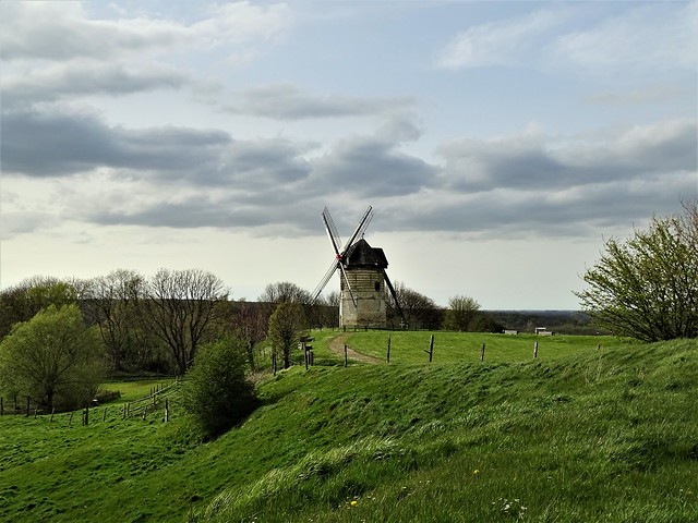 Le moulin de la montagne de Watten.