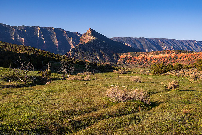 Sage Creek