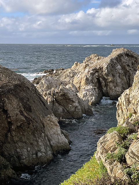 CARMEL BY THE SEA, USA (CA) - Point Lobos reserve/ КАРМЕЛЬ-У-МОРЯ, США (Калифорния) - заповедник Пойнт-Лобос