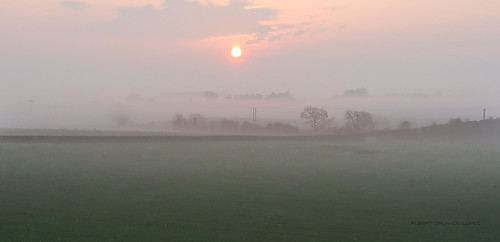 shropshire sunrise mist landscape canon g7x empty open fields trees dawn