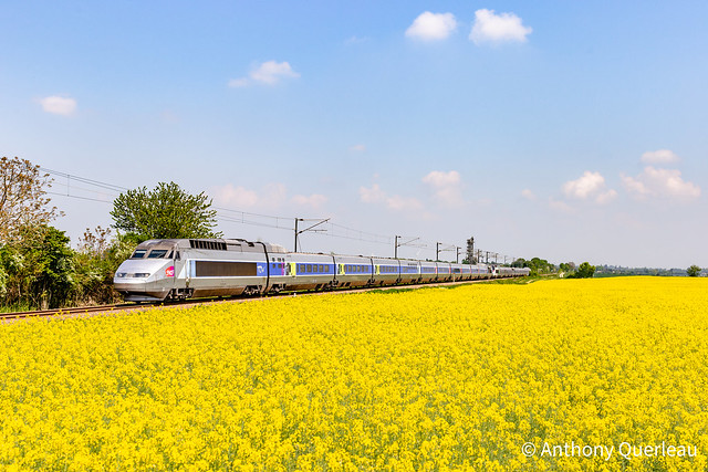 30 avril 2022  TGV A 379-370  Train 8377 Paris-Montparnasse -> La Rochelle-Ville Pamproux (79)