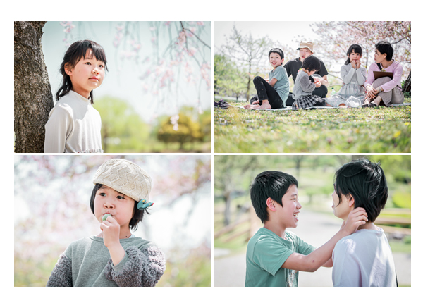 公園で花見をする家族　春らしい淡い色合いの写真