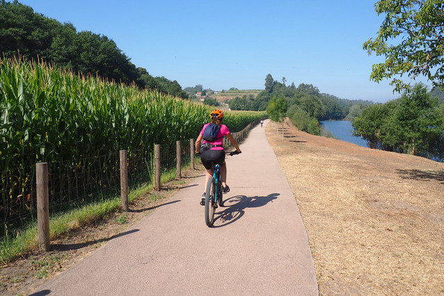 Corn fields and river, Ponte de Barca to Ponte de Lima section, Minho cycling, Portugal