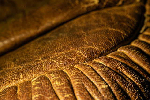 Old Leather.jpg