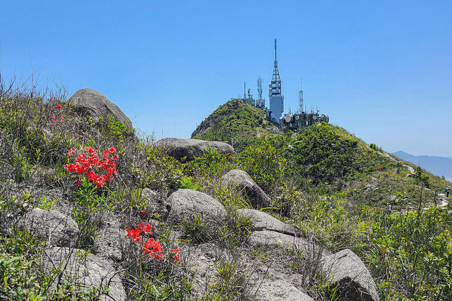 青山   Castle Peak