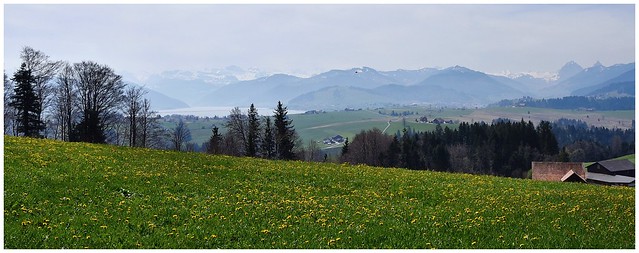 Enzenau / Feusisberg (Kanton Schwyz)