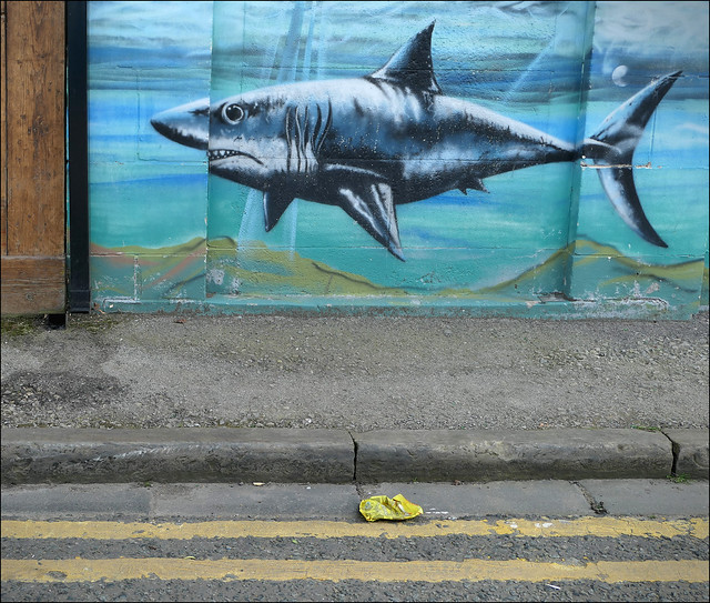 A fish on a wall. 2022.