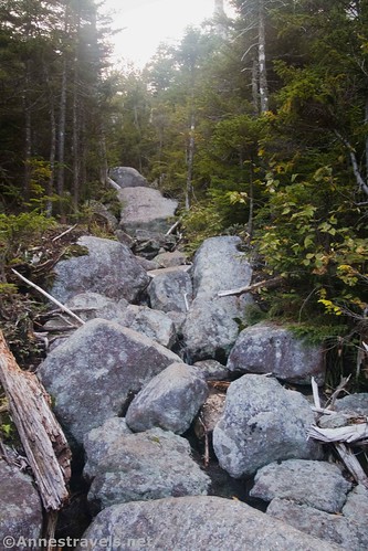 Boulders near the top of the Panther Brook Route, High Peaks Wilderness, New York