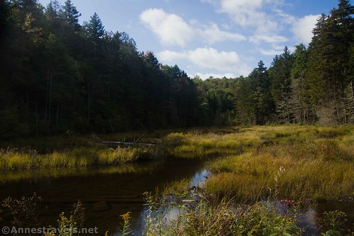 The pond along the Santanoni Road, High Peaks Wilderness, Adirondack Park, New York