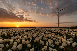 Sunrise or sunset photo of Gemeente Stadskanaal