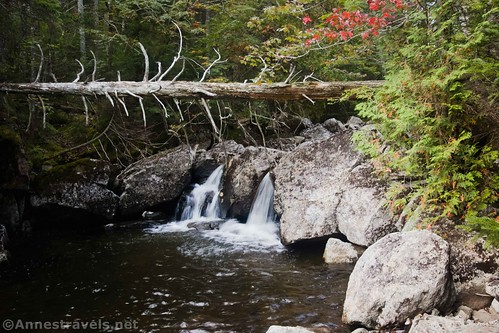 A little waterfall in Santanoni Creek, High Peaks Wilderness, Adirondack Park, New York