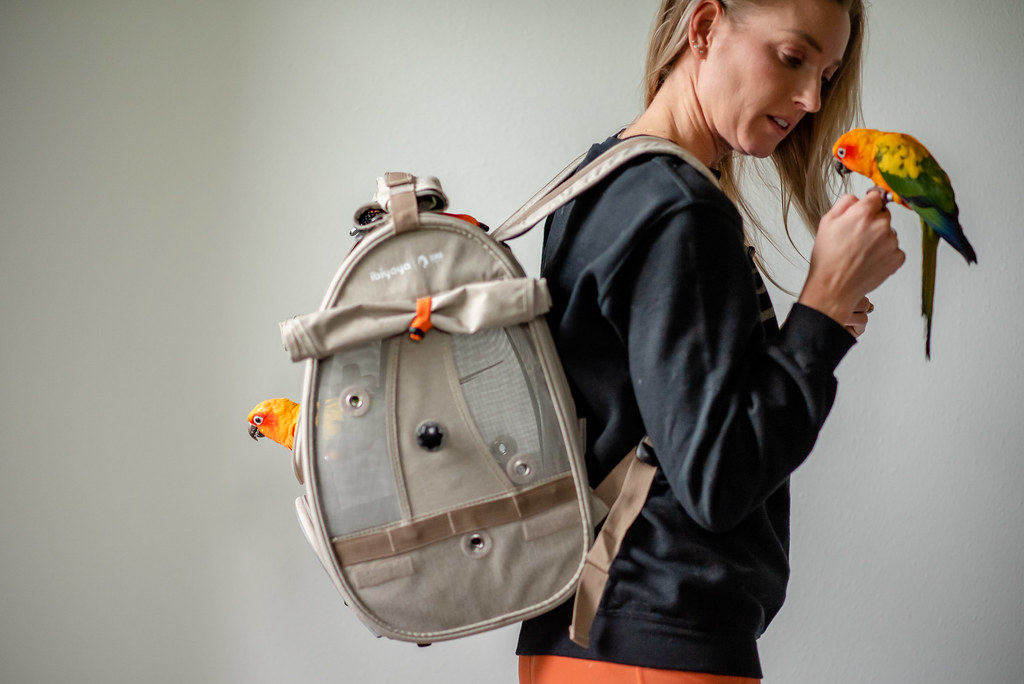 Backpack by Allison (studio shots) | Dave Womach | Flickr
