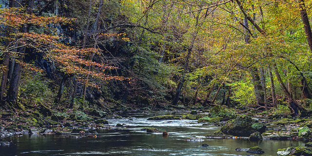 Massies creek autumn