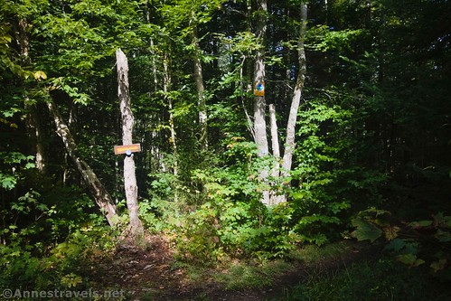 The trail junction beside the Santanoni Road, High Peaks Wilderness, Adirondack Park, New York