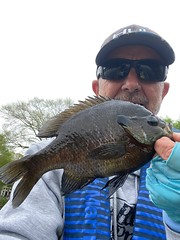 Photo of man holding a bluegill