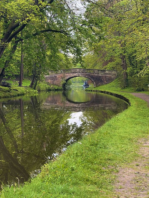 Serene Canal Stroll