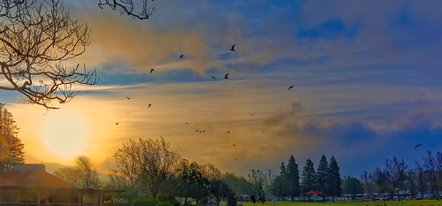 birds clouds sunrise mountain trees landscape nature rx100