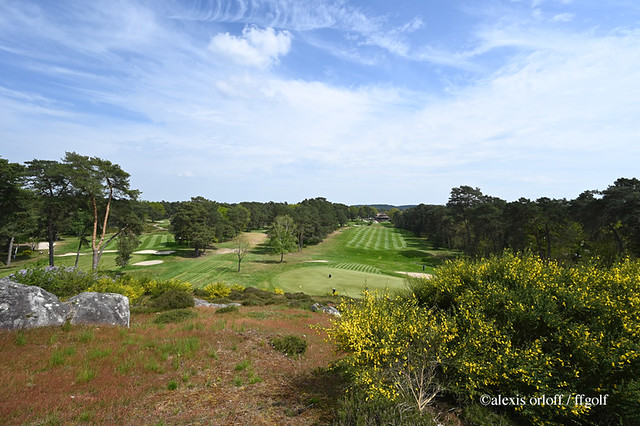 Le golf de Fontainebleau   22D_9583