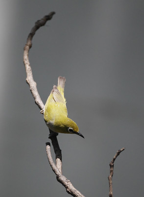20130322_2063