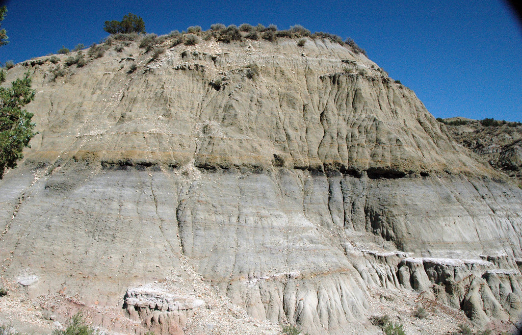 Lignite coal horizon (Sentinel Butte Formation, Paleocene;… | Flickr