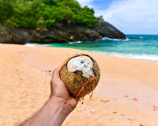 Coco en playa Onda