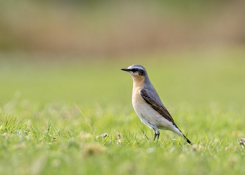 Wheater | by Leon84uk