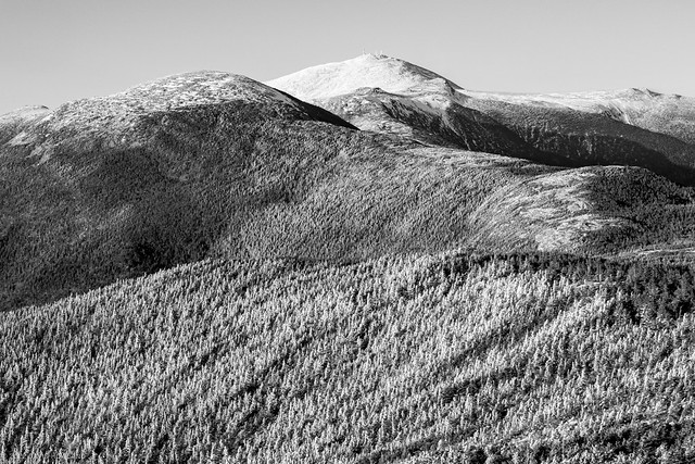 Snow Crusted Trees of the Presidential Range