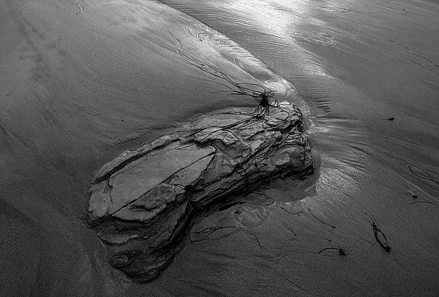 a rock in the sand
