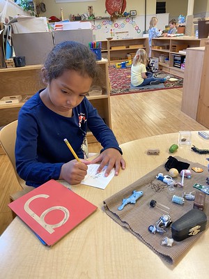 labeling her drawings in her Vv book