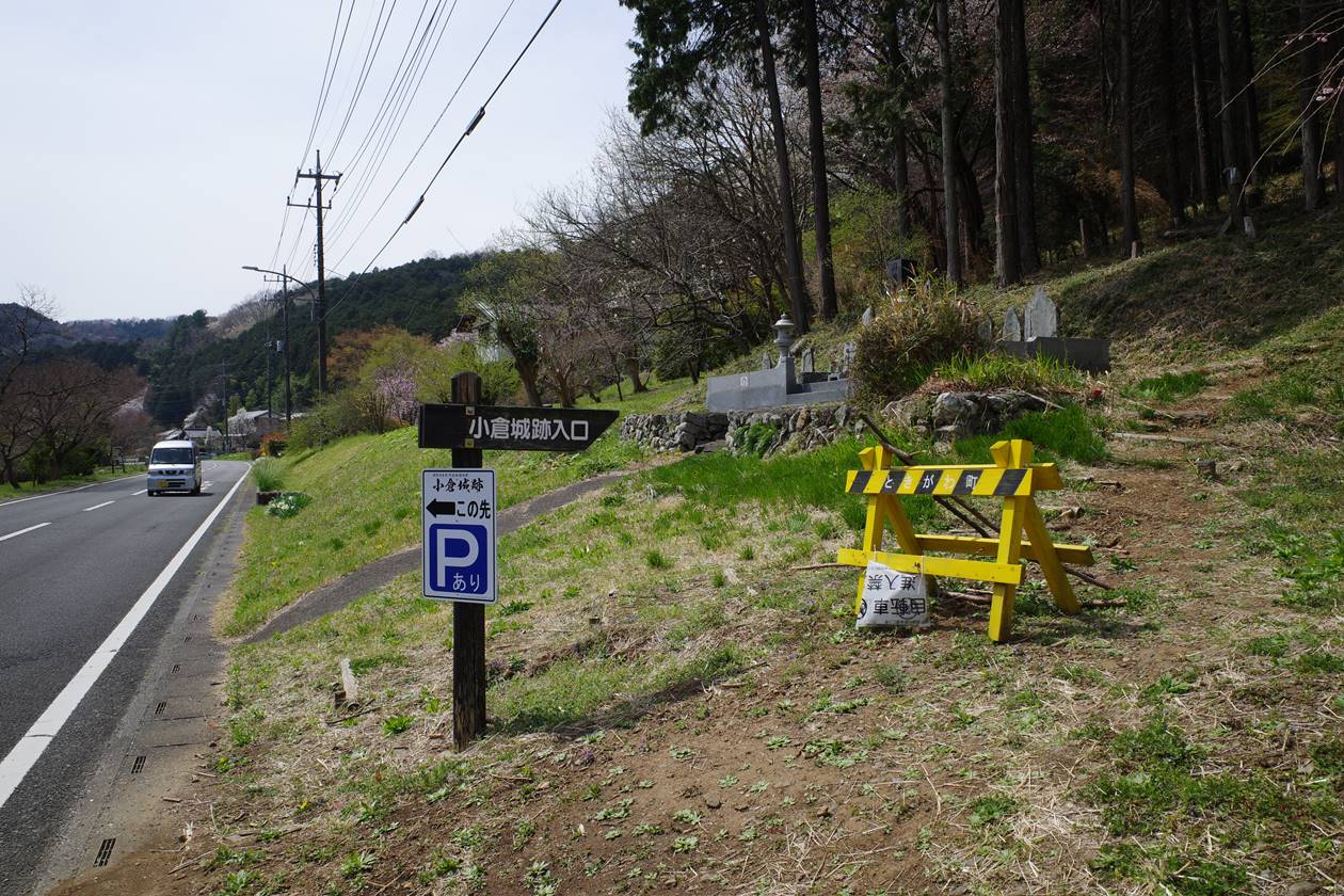 【奥武蔵】都幾川桜堤〜大平山〜仙元山 満開の桜と春の低山ハイキング