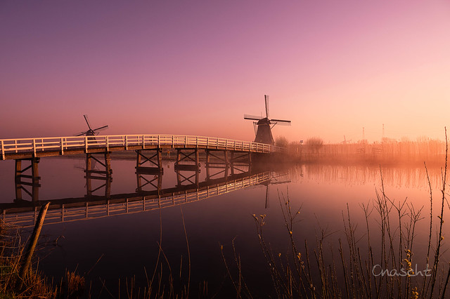 Kinderdijk | Sunrise in pink