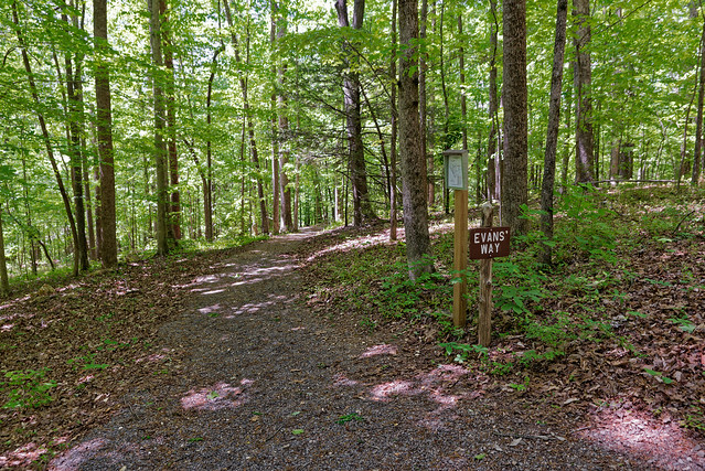 Evans' Trail_UT Arboretum