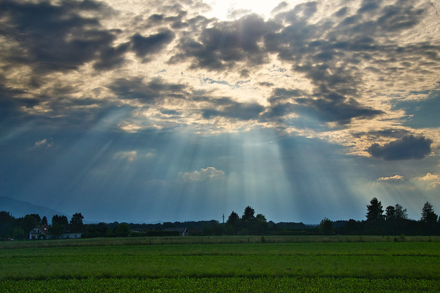 Sunbeams upon the fields