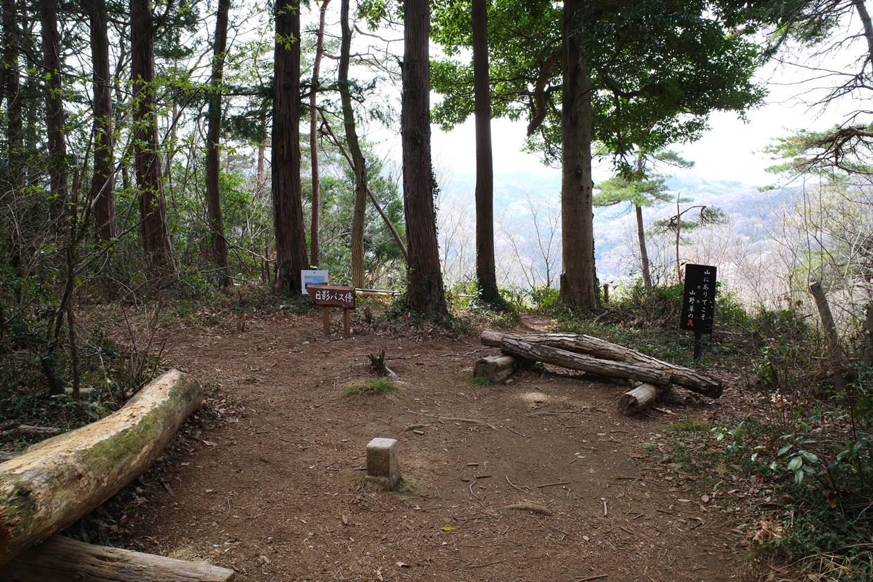 【奥武蔵】都幾川桜堤〜大平山〜仙元山 満開の桜と春の日帰り登山