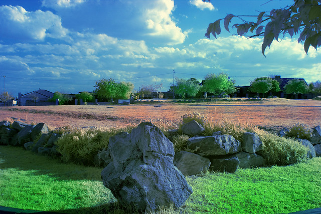 Soweto park landscape supercolor infrared