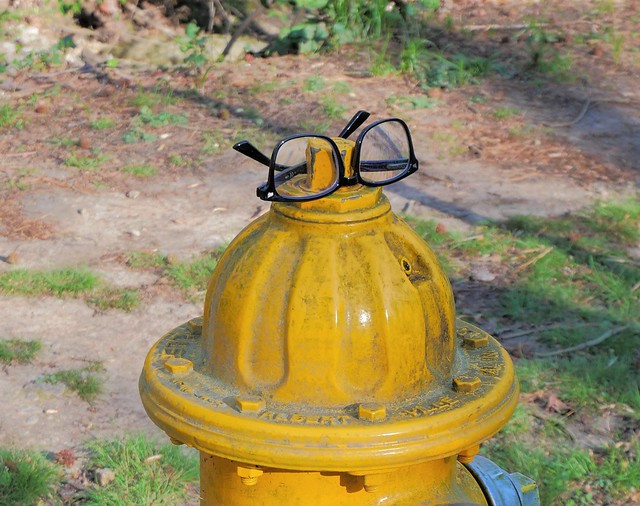 Bespectacled fire hydrant, Raleigh - 2022 April 2