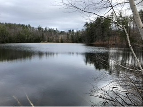 Down by the kettle hole pond in Smithfield, Maine. From Watery Inspiration
