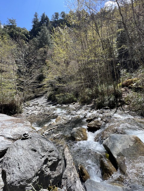 塔次基里溪水量充沛，沁涼宜人，一掃從登山口直下600公尺的疲憊